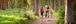 father and two sons walking on hiking path