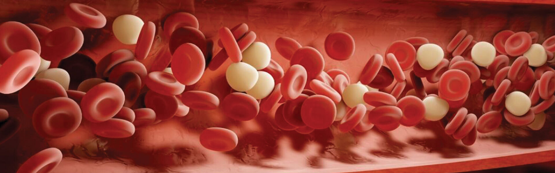 Keloland Living: Anticoagulants