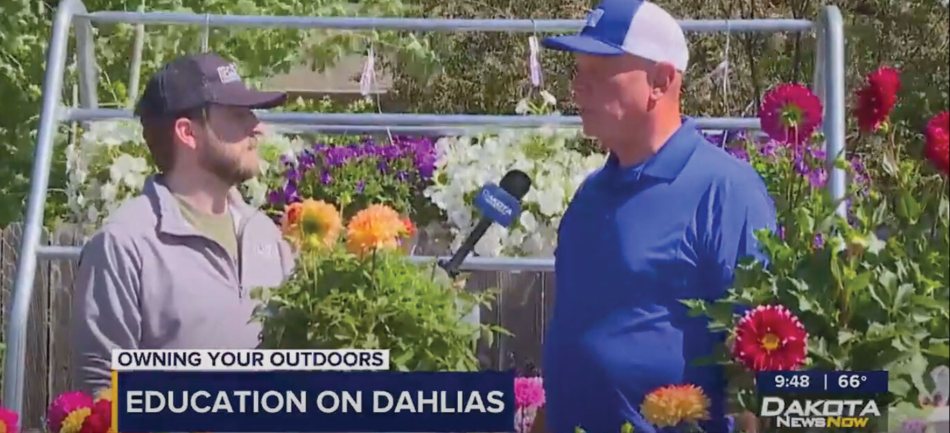 Education on Dahlias video