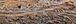 Owning Your Outdoors: Protecting Trees From The Emerald Ash Borer