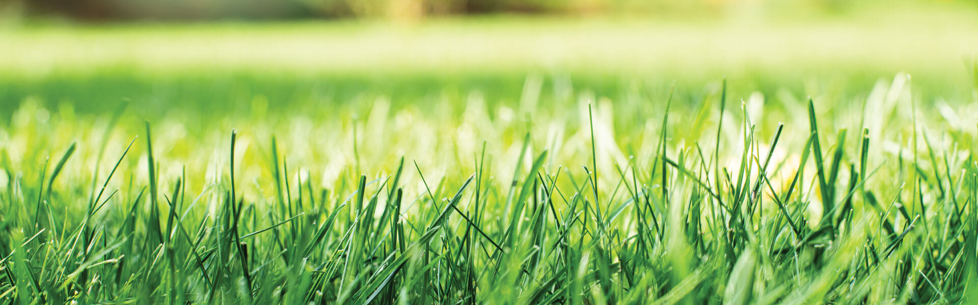 Owning Your Outdoors: Lawn Care Preparation