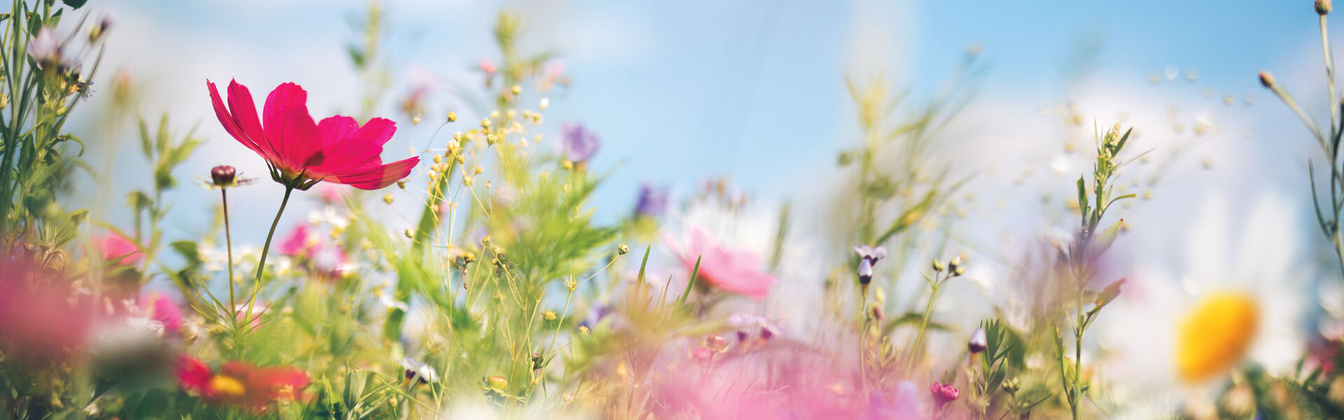 Owning Your Outdoors: Spring Picks