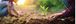 Owning Your Outdoors: Tree Planting Tips