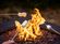 Fire Pits & Tables