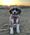 Shea, Pet of Madeleine Lauret