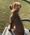 Birdie, Pet of Alison Eddy