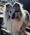 Franklin, Pet of Joanna Meyers