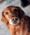 Willow, Pet of April Adams Jennings