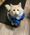 Simon, Pet of Kacey Rogers