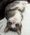 Penelope, Pet of Christine Goeden