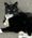 Ellie, Pet of Rhonda Larson