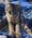 Enzo, Pet of Michelle Karles Newell