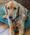 Oakleigh, Pet of Amy Anderson