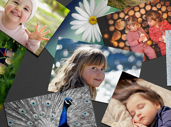 Collage of photos for Photo Processing