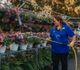 A Lewis employee waters the flowers.