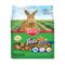 Lewis Drug | Kaytee Fiesta Max Rabbit Food