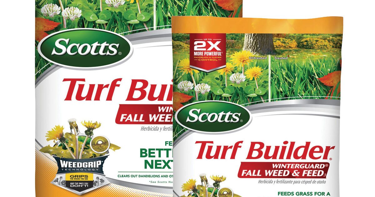 Lewis Drug Scotts Turf Builder Winterguard Fall Weed Feed 4M Or lewis-drug-scotts-turf-builder-winterguard-fall-weed-feed-4m-or